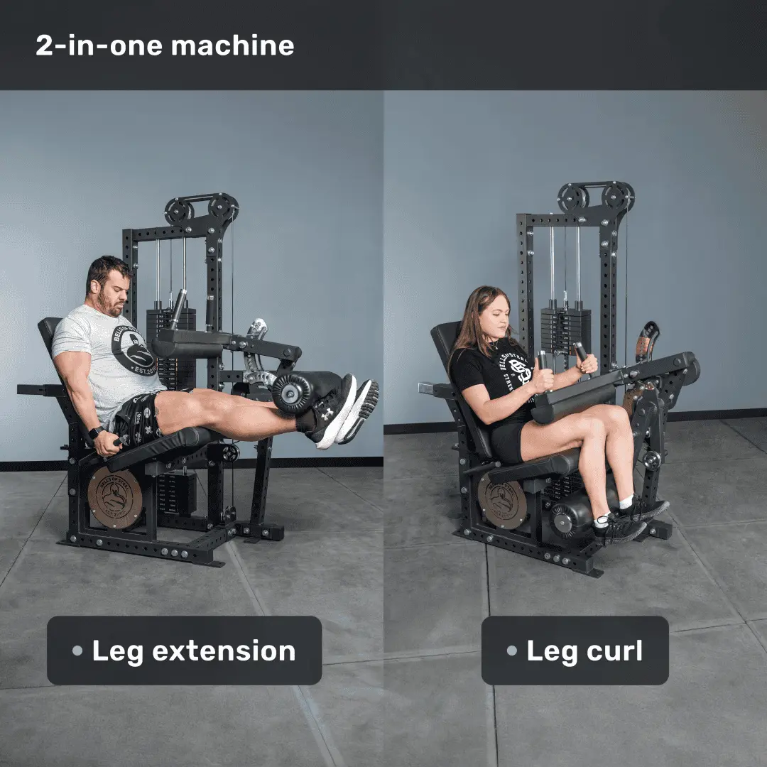 Basilisk Leg Extension / Curl